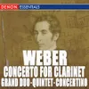 Concerto for Clarinet and Orchestra No. 1 in F Minor, Op. 73: I. Allegro