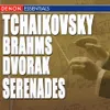 Serenade No. 1 in D Major, Op. 11: II. Scherzo, Allegro non troppo