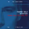 Seventeen Thomas Gold Festival Mix