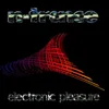 Electronic Pleasure Sunshine State Remix