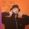 About OK 3adi Song