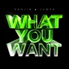 About What You Want Song