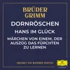 About Märchen von einem, der auszog das Fürchten zu lernen - Teil 08 Song