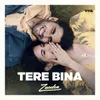 About tere bina Song