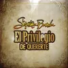 About El Privilegio De Quererte Song