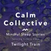 Mindful Sleep Stories: Twilight Train