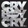 About So Sorry Song