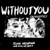 About Without You Acoustic Song