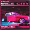 About Vice City Song