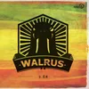 Walrus