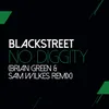 No Diggity-Sam Wilkes & Brian Green Remix