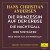 About Die Nachtigall - Teil 20 Song