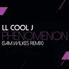 About Phenomenon-Sam Wilkes Remix Song