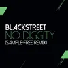 No Diggity-Sam Wilkes & Brian Green Sample Free Remix