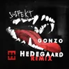 About Gonzo-HEDEGAARD Remix Song