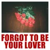 About Forgot To Be Your Lover Song