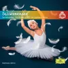 About Schwanensee Tschaikowsky - Für Kinder erzählt von Karlheinz Böhm Song