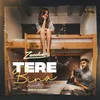 About tere bina Acoustic Song