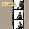 About Muddy Waters Twist Song