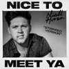About Nice To Meet Ya Stripped Version Song