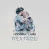 About Prea Târziu Song