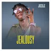 About Jealousy Song