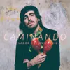 Caminando-Versión Instrumental