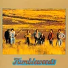 Tumbleweeds Polka