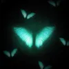 About butterfly Song