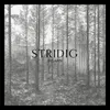 About Stridig Song