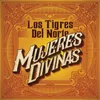 About Mujeres Divinas Song