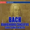 Concerto No. 6 in B-Flat Major, BWV1051, II. Adagio Na Non Tanto