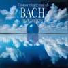 French Suite No. 1 BWV 812 in D Minor: III. Sarabande