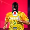 About DRiBBEL Song