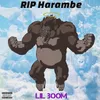 About Rip Harambe Song