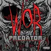 About Predator Song