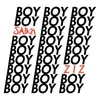 About Boy Song