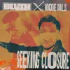 About Seeking Closure Song