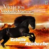 Caballo Prieto Azabache