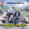 Corrido De Luciano Bojorquez