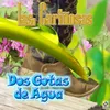 Dos Gotas De Agua