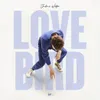 About Lovebird Song