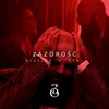About Zazdrosc Song