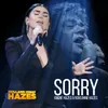 About Sorry-Holland Zingt Hazes Song