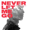 About Never Let Me Go Song