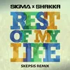 About Rest Of My Life Skepsis Remix Song