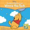 About The Many Adventures of Winnie the Pooh Song