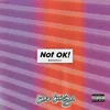About Not OK! Acoustic Song