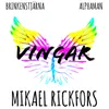 Vingar-Intro Radio Edit