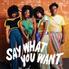 About Say What You Want (I Like Who I Am) Song